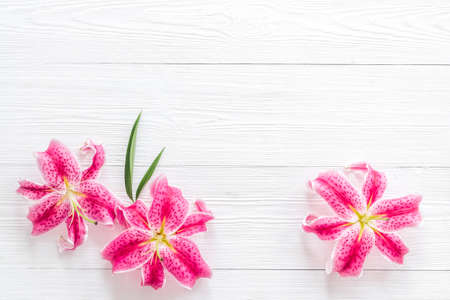 Top view of pink lilies flowers, floral pattern backgroundの写真素材