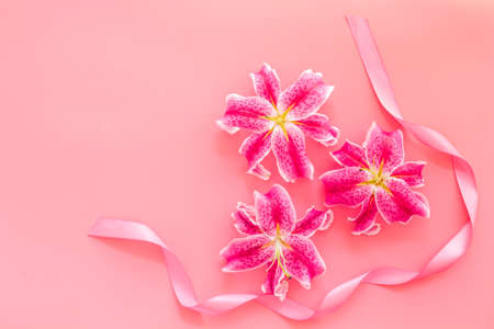 Pink lilies blossom flowers with purple ribbonの写真素材