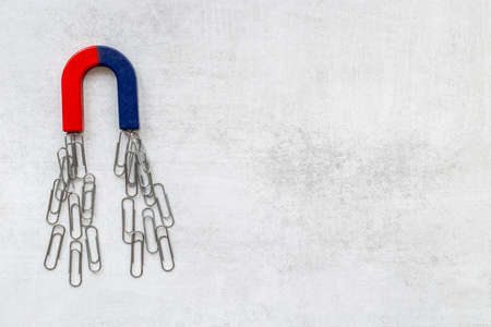 Horseshoe magnet collecting paper clips. Top viewの写真素材