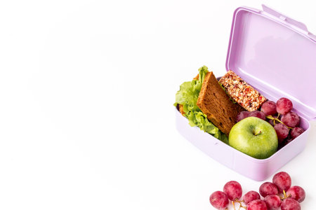 Sandwich and fruits in lunch box. Healthy snack mealの写真素材