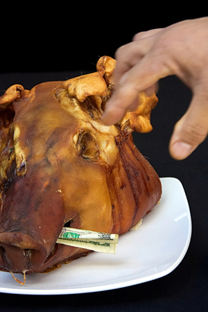 Pigs head on plate with money