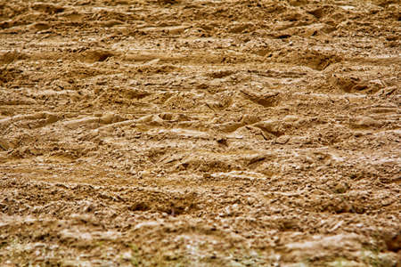 Trodden dirt