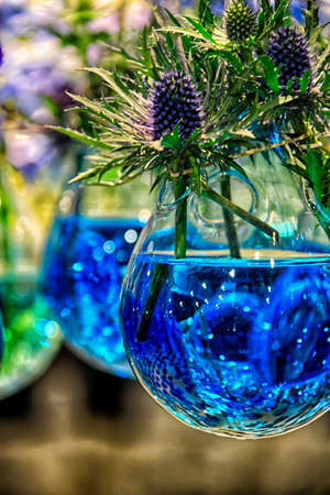Weedy flowers in a blue orbの写真素材