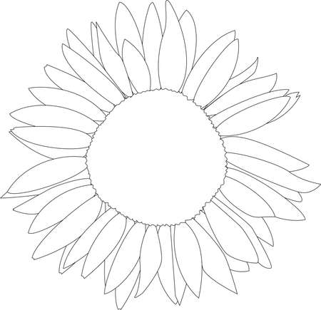 Monochrome sunflower. Page for coloring book. Simple flower.のイラスト素材