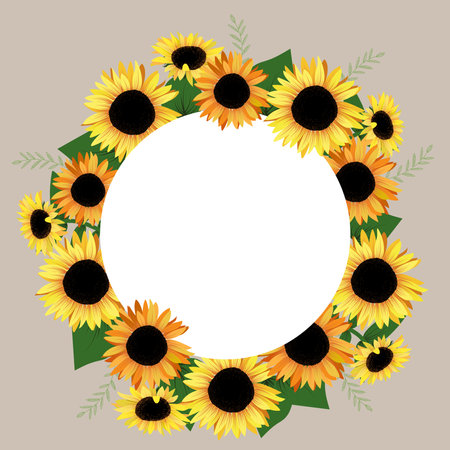 Wreath of yellow blooming sunflowers, inside empty space, flowers are isolated on colored background. Sun flowers round frame.のイラスト素材