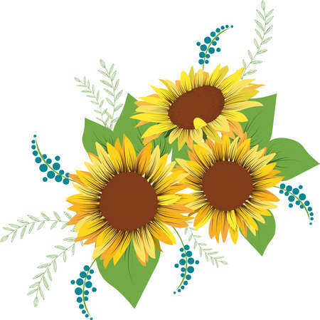 Three sunflowers and leaves on white background. Botanical background. Concept for postcard, poster, card, invitations and wedding stationery design.のイラスト素材