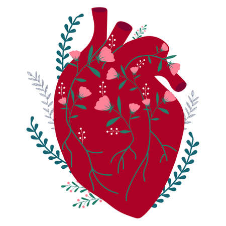 Anatomical hand drawn heart with flowers. colorful illustration for valentine's day greeting card, party invitation.のイラスト素材