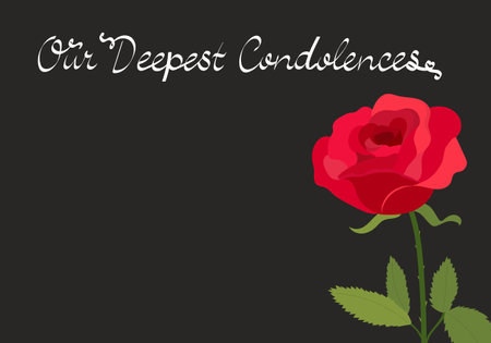 Condolence card with rose. Red rose flower on dark background. vector illustrationのイラスト素材