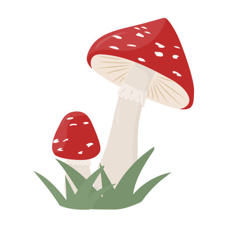 Amanita mushroom. Poisonous toadstool fly agaric. Vector mushroom in a forestのイラスト素材