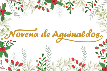 Novena de aguinaldos, Ninth of Bonuses Spanish text. Horizontal greeting card. vector illustrationのイラスト素材
