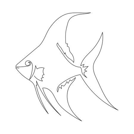 One line drawing of an angel fish. Vector illustration isolated on a white backgroundのイラスト素材