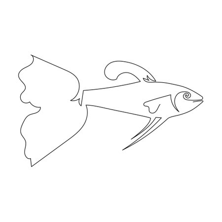 One line drawing of guppy. Vector illustration isolated on a white backgroundのイラスト素材