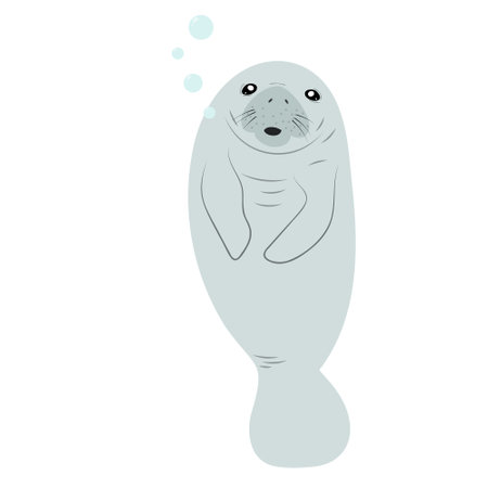 Cute cartoon manatee isolated on white background. Hand drawn vector illustration of Sea cow.のイラスト素材