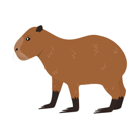 Cartoon Capybara animal isolated on white background. Capybara character cute vector illustrationのイラスト素材