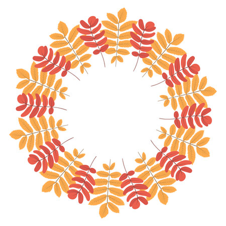 Yellow and red rowan circle frame. Round border of autumn leaves isolated on white background. Template for poster, postcard.のイラスト素材