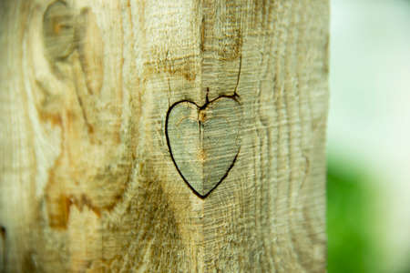 wooden poleの写真素材