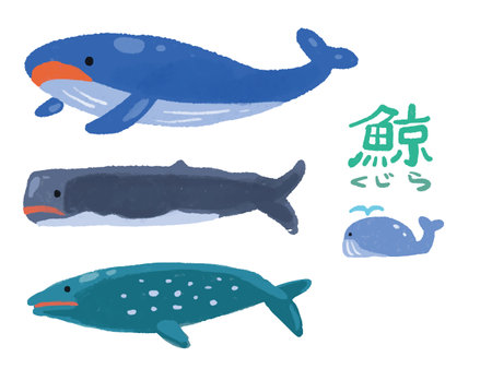Watercolor illustrations of various whalesのイラスト素材