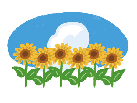 Watercolor hand-painted sunflowers and blue skyのイラスト素材