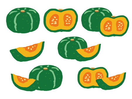 Hand drawn illustration set with pumpkin and cross sectionのイラスト素材