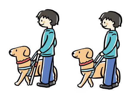 A set of illustrations of a guide dog leading a man to a stop.のイラスト素材