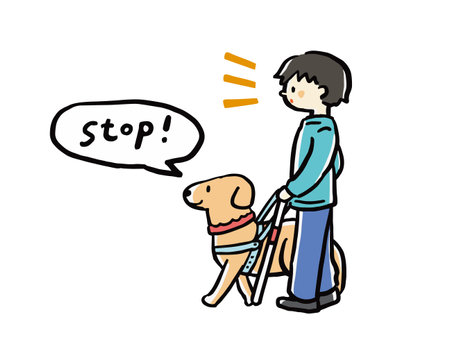 A set of illustrations of a guide dog leading a man to a stop.のイラスト素材