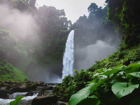 Waterfall in the rainforest of Bali island, Indonesia.の素材