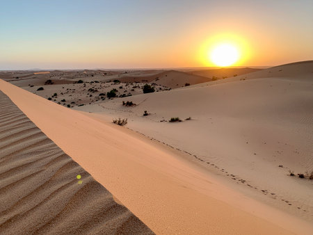 Sunset over the Sahara desert in Merzouga, Moroccoの素材