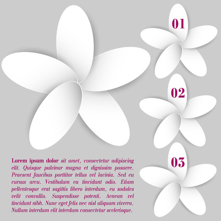 Floral info graphic with text Round white paper petal shadow combined in infographic flower on a gray background for your designのイラスト素材