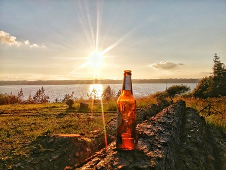 Sunny day in the woodsの写真素材