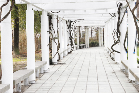 Botanical gardenの写真素材