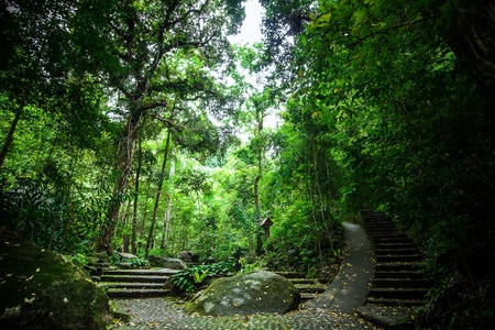 peaceful pathway