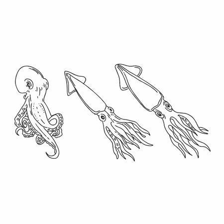 Black and white drawing of squid and octopus tentacles and bodies