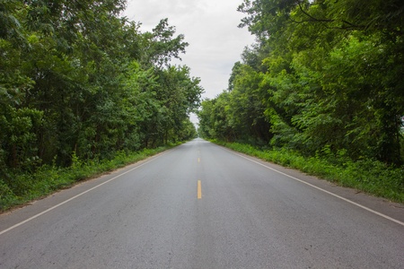 Green Roadの写真素材