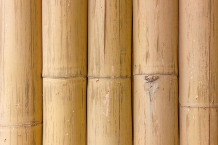 bamboo wallpaperの写真素材