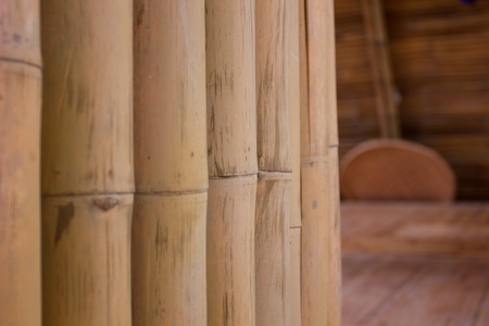 bamboo wallpaperの写真素材