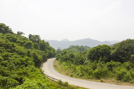 Road through the mountains with Forest