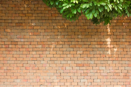 Brick wall with leavesの写真素材