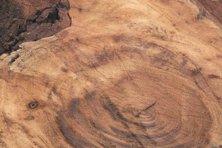 Brown wood texture backgroundの写真素材