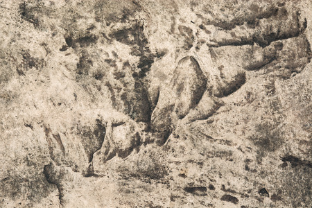 Texture Background of Stone の写真素材