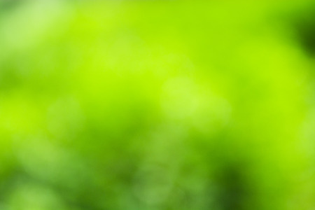 Abstract nature blurred background with bokehの写真素材
