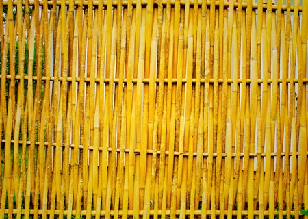 bamboo wallの写真素材