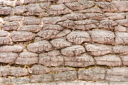 Background of stone wall texture, grunge   の写真素材