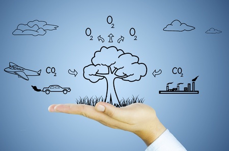 hand with tree decrease global warming, photosynthesis, carbon dioxide, oxygenの写真素材