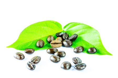 coffeeの写真素材