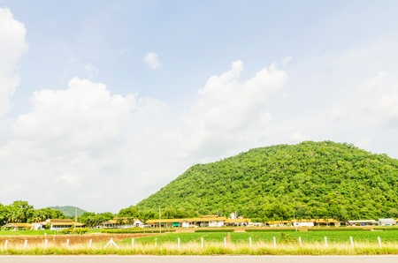 Corn farm in the countryside Thailand の写真素材
