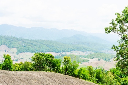 Corn farm in the countryside Thailandの写真素材