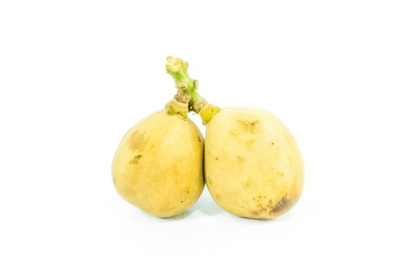 Wollongong isolated on white background, Lansium domesticum Corrêaの写真素材