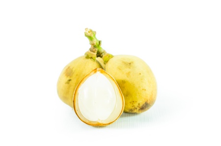 Wollongong isolated on white background, Lansium domesticum Corrêaの写真素材