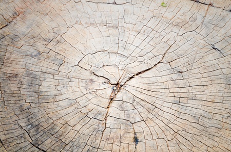 old, grunge wooden wall used as backgroundの写真素材
