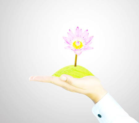 hand with tree decrease global warming, photosynthesis, carbon dioxide, oxygenの写真素材